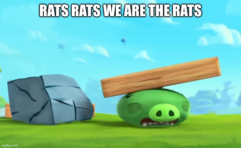 RATS RATS WE ARE THE RATS | made w/ Imgflip meme maker