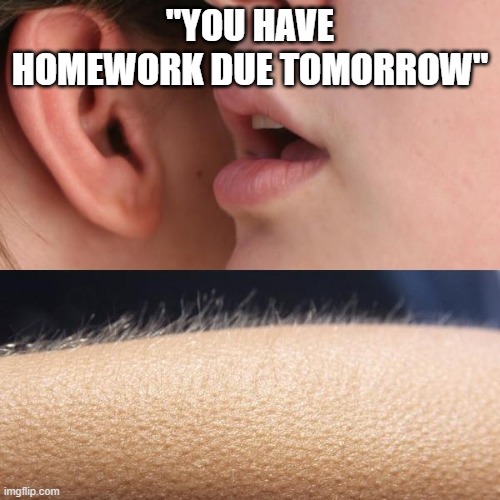 Whisper and Goosebumps | "YOU HAVE HOMEWORK DUE TOMORROW" | image tagged in whisper and goosebumps | made w/ Imgflip meme maker