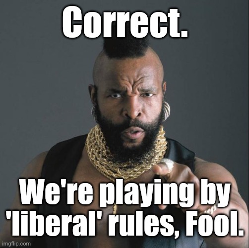 BA Baracus Pointing | Correct. We're playing by 'liberal' rules, Fool. | image tagged in ba baracus pointing | made w/ Imgflip meme maker