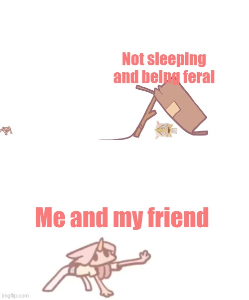 Help me lmao | Not sleeping and being feral; Me and my friend | image tagged in i need x | made w/ Imgflip meme maker