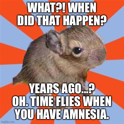 Time flies when you have dissociative amnesia. It's not like having a bad memory! | WHAT?! WHEN DID THAT HAPPEN? YEARS AGO...?
OH. TIME FLIES WHEN YOU HAVE AMNESIA. | image tagged in dissociative degu,amnesia,time travel,bad memory | made w/ Imgflip meme maker