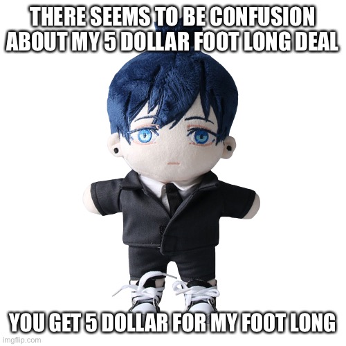 It’s more of half a foot but foot long sounds better  | THERE SEEMS TO BE CONFUSION ABOUT MY 5 DOLLAR FOOT LONG DEAL; YOU GET 5 DOLLAR FOR MY FOOT LONG | image tagged in aki plush | made w/ Imgflip meme maker