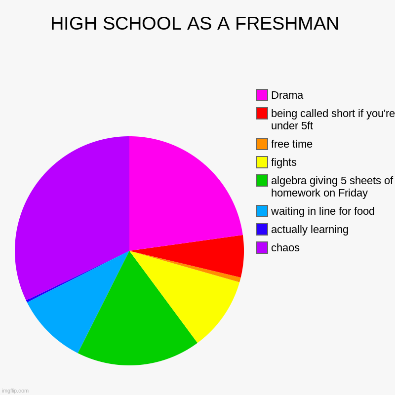 HIGH SCHOOL AS A FRESHMAN | chaos, actually learning, waiting in line for food, algebra giving 5 sheets of homework on Friday, fights, free  | image tagged in charts,pie charts,school,meme,highschool,high school | made w/ Imgflip chart maker