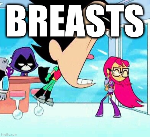 BREASTS | image tagged in robin yelling at starfire | made w/ Imgflip meme maker