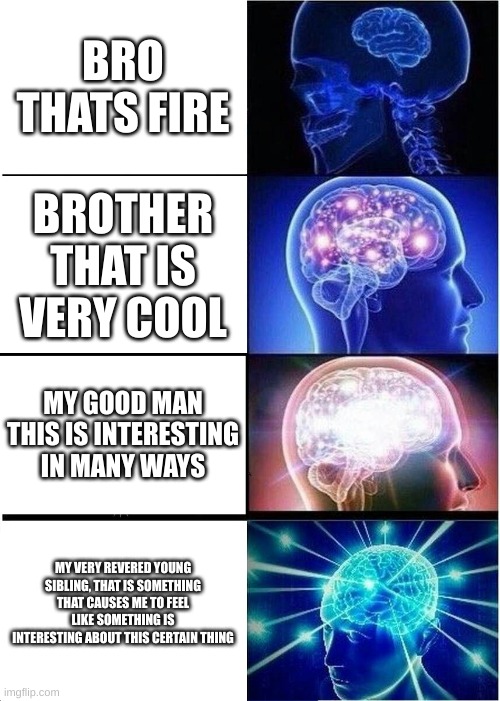 The boys's comments expanded edition | BRO THATS FIRE; BROTHER THAT IS VERY COOL; MY GOOD MAN THIS IS INTERESTING IN MANY WAYS; MY VERY REVERED YOUNG SIBLING, THAT IS SOMETHING THAT CAUSES ME TO FEEL LIKE SOMETHING IS INTERESTING ABOUT THIS CERTAIN THING | image tagged in memes,expanding brain | made w/ Imgflip meme maker