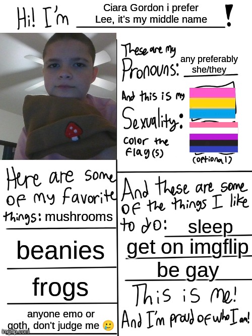 Me | Ciara Gordon i prefer Lee, it's my middle name; any preferably she/they; mushrooms; sleep; beanies; get on imgflip; be gay; frogs; anyone emo or goth, don't judge me 🥲 | image tagged in lgbtq stream account profile | made w/ Imgflip meme maker