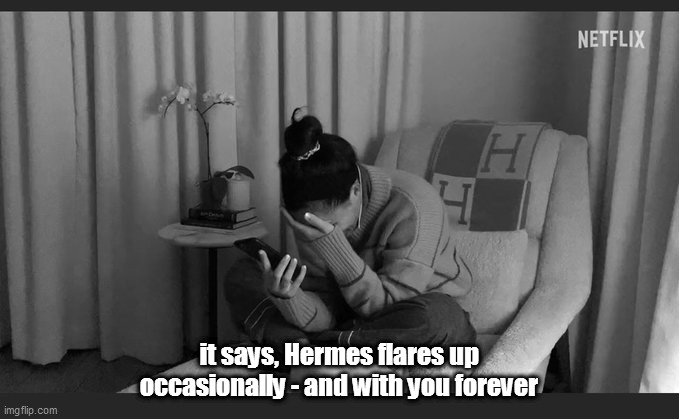 Meghan Markle | it says, Hermes flares up occasionally - and with you forever | image tagged in meghan markle,prince harry,royals,royal family,british royals,anti royal | made w/ Imgflip meme maker