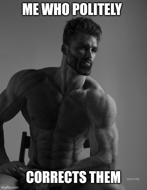 Giga Chad | ME WHO POLITELY CORRECTS THEM | image tagged in giga chad | made w/ Imgflip meme maker