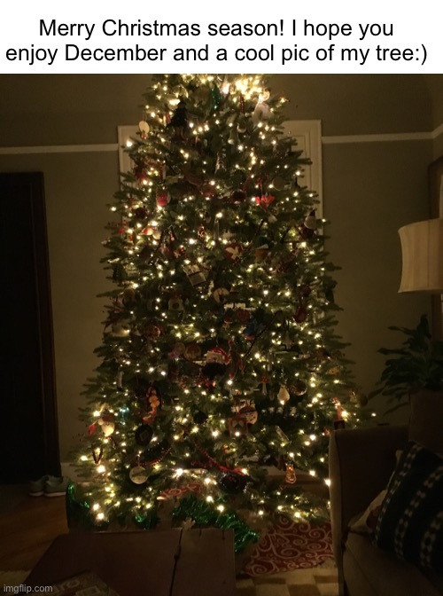 Happy Christmas month! |  Merry Christmas season! I hope you enjoy December and a cool pic of my tree:) | image tagged in memes,funny,funny memes,christmas,merry christmas,santa | made w/ Imgflip meme maker