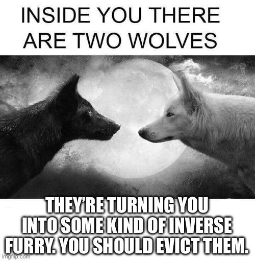 To defeat the furry without you must conquer the furry within | THEY’RE TURNING YOU INTO SOME KIND OF INVERSE FURRY. YOU SHOULD EVICT THEM. | image tagged in inside you there are two wolves,furry | made w/ Imgflip meme maker