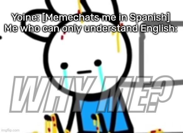 Haha, well sh*t- | Yoine: [Memechats me in Spanish]

Me who can only understand English: | image tagged in why me,idk,stuff,s o u p,carck | made w/ Imgflip meme maker