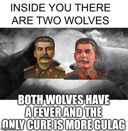 Gulag! | BOTH WOLVES HAVE A FEVER AND THE ONLY CURE IS MORE GULAG | image tagged in inside you there are two wolves,stalin | made w/ Imgflip meme maker