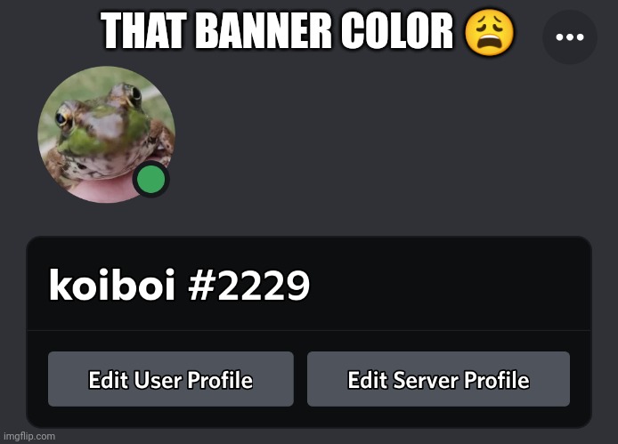 THAT BANNER COLOR 😩 | made w/ Imgflip meme maker