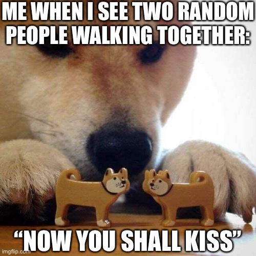 Why is this true XD | ME WHEN I SEE TWO RANDOM PEOPLE WALKING TOGETHER:; “NOW YOU SHALL KISS” | image tagged in dog now kiss | made w/ Imgflip meme maker