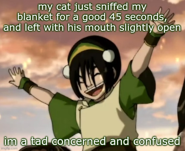 toph | my cat just sniffed my blanket for a good 45 seconds, and left with his mouth slightly open; im a tad concerned and confused | image tagged in toph | made w/ Imgflip meme maker