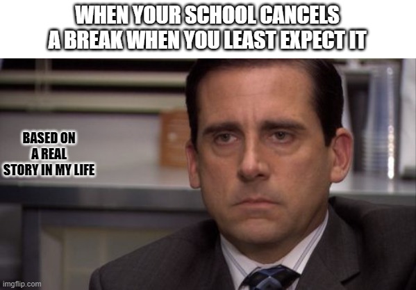 Meme | WHEN YOUR SCHOOL CANCELS A BREAK WHEN YOU LEAST EXPECT IT; BASED ON A REAL STORY IN MY LIFE | image tagged in are you kidding me | made w/ Imgflip meme maker