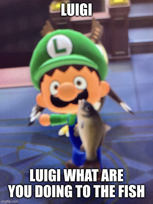 A little template I made | LUIGI; LUIGI WHAT ARE YOU DOING TO THE FISH | image tagged in luigi holding fish | made w/ Imgflip meme maker