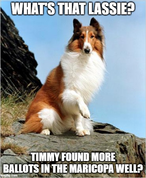Maricopa County has egg on its face. | WHAT'S THAT LASSIE? TIMMY FOUND MORE BALLOTS IN THE MARICOPA WELL? | image tagged in lassie,arizona,election fraud | made w/ Imgflip meme maker