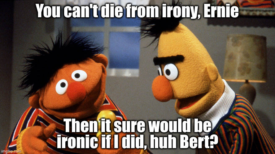 Give the Oscar to the rubber duckie |  You can't die from irony, Ernie; Then it sure would be ironic if I did, huh Bert? | image tagged in ernie and bert discuss rubber duckie | made w/ Imgflip meme maker
