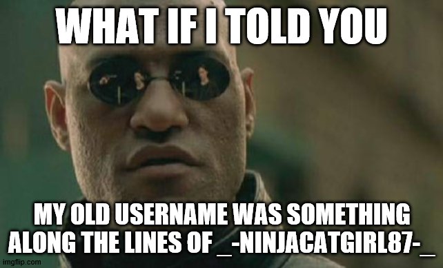 IT'S ME!!! I dont remember what my username used to be but im back! | WHAT IF I TOLD YOU; MY OLD USERNAME WAS SOMETHING ALONG THE LINES OF _-NINJACATGIRL87-_ | image tagged in memes,matrix morpheus | made w/ Imgflip meme maker