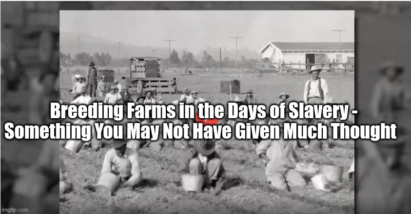 Breeding Farms in the Days of Slavery - Something You May Not Have Given Much Thought  (Video)