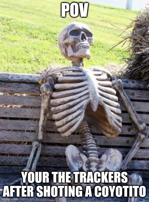 Waiting Skeleton | POV; YOUR THE TRACKERS AFTER SHOTING A COYOTITO | image tagged in memes,waiting skeleton | made w/ Imgflip meme maker
