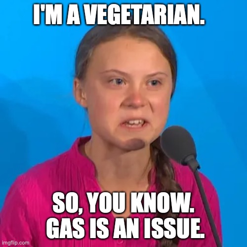 Gas is an Issue | I'M A VEGETARIAN. SO, YOU KNOW.  GAS IS AN ISSUE. | image tagged in greta thunberg,vegetarian,gas | made w/ Imgflip meme maker