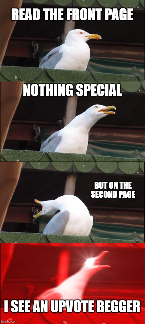 Upvote beggar about to be attacked | READ THE FRONT PAGE; NOTHING SPECIAL; BUT ON THE SECOND PAGE; I SEE AN UPVOTE BEGGER | image tagged in memes,inhaling seagull | made w/ Imgflip meme maker