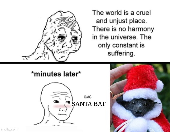 Happy december! | SANTA BAT | image tagged in the only constant is suffering,msmg,wholesome,wait a second this is wholesome content,bat | made w/ Imgflip meme maker