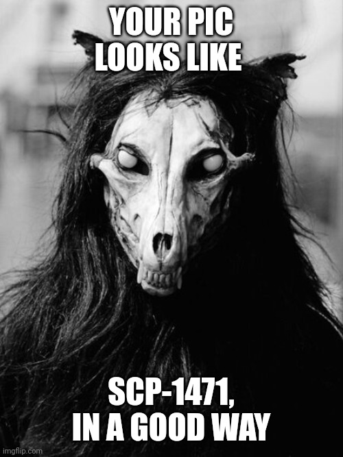 YOUR PIC LOOKS LIKE SCP-1471, IN A GOOD WAY | made w/ Imgflip meme maker