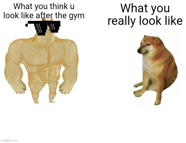 Buff Doge vs. Cheems | What you think u look like after the gym; What you really look like | image tagged in memes,buff doge vs cheems | made w/ Imgflip meme maker