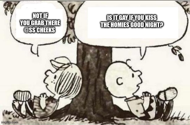 Charlie Brown and Peppermint Patty | NOT IF YOU GRAB THERE @SS CHEEKS; IS IT GAY IF YOU KISS THE HOMIES GOOD NIGHT? | image tagged in charlie brown and peppermint patty | made w/ Imgflip meme maker