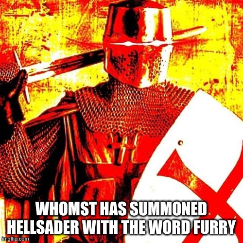 Deep Fried Crusader | WHOMST HAS SUMMONED HELLSADER WITH THE WORD FURRY | image tagged in deep fried crusader | made w/ Imgflip meme maker