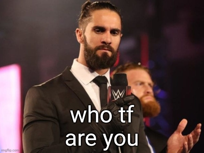 Seth Rollins | who tf are you | image tagged in seth rollins | made w/ Imgflip meme maker