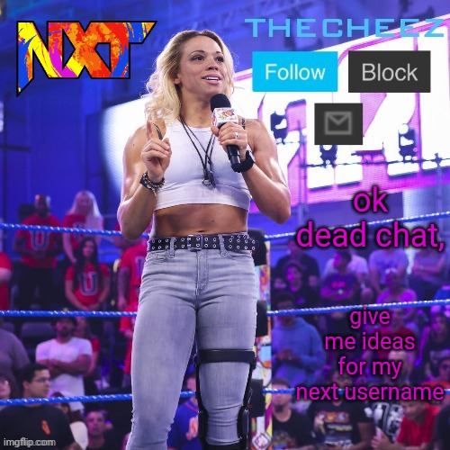 ok dead chat, give me ideas for my next username | image tagged in zoey stark template | made w/ Imgflip meme maker