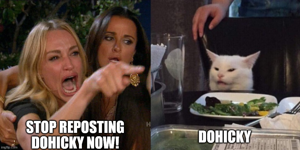 stop reposting dohicky | DOHICKY; STOP REPOSTING DOHICKY NOW! | image tagged in woman yelling at cat,dohicky | made w/ Imgflip meme maker
