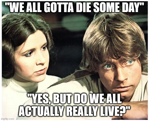 Live and die with Star Wars | "WE ALL GOTTA DIE SOME DAY"; "YES, BUT DO WE ALL ACTUALLY REALLY LIVE?" | image tagged in luke skywalker,princess leia,live,death | made w/ Imgflip meme maker