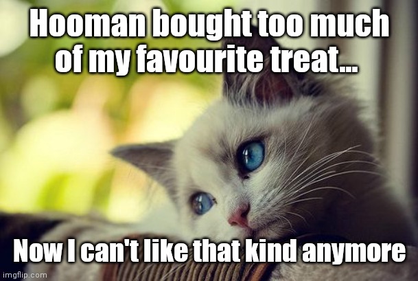 pitiful mews |  Hooman bought too much of my favourite treat... Now I can't like that kind anymore | image tagged in memes,first world problems cat | made w/ Imgflip meme maker