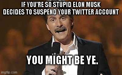 Kanye "Ye" West: racist idiot without borders | IF YOU'RE SO STUPID ELON MUSK DECIDES TO SUSPEND YOUR TWITTER ACCOUNT; YOU MIGHT BE YE. | image tagged in jeff foxworthy you might be a redneck,kanye west,ye,anti-semite and a racist,twitter,social media | made w/ Imgflip meme maker