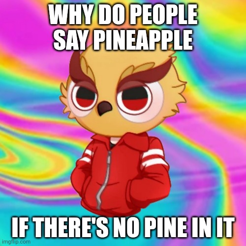 Chibi vanoss on drugs | WHY DO PEOPLE SAY PINEAPPLE; IF THERE'S NO PINE IN IT | image tagged in chibi vanoss on drugs | made w/ Imgflip meme maker