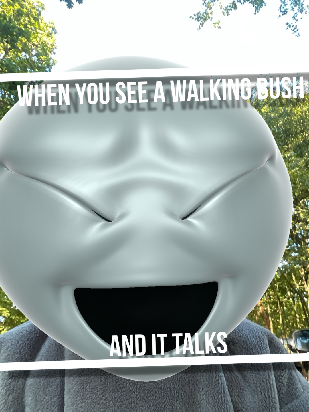 When you see a bush Blank Meme Template
