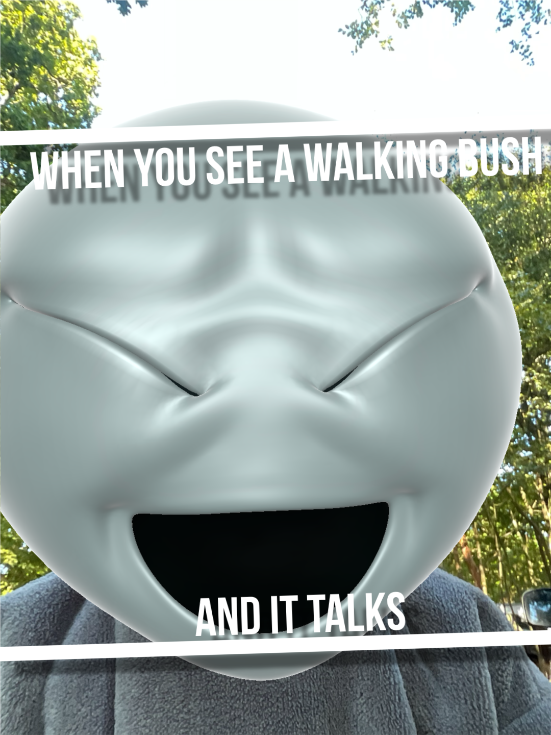 High Quality When you see a bush Blank Meme Template