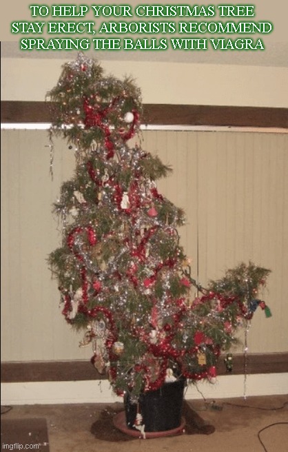 Christmas tree tip o' the trade | TO HELP YOUR CHRISTMAS TREE STAY ERECT, ARBORISTS RECOMMEND SPRAYING THE BALLS WITH VIAGRA | image tagged in pitiful christmas tree,christmas,bad puns,humor,funny | made w/ Imgflip meme maker