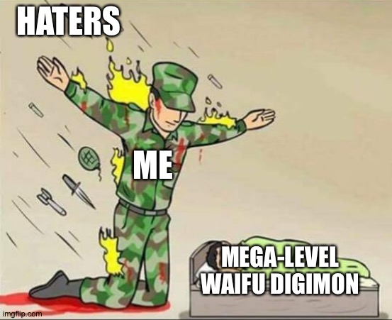 Soldier protecting sleeping child | HATERS; ME; MEGA-LEVEL WAIFU DIGIMON | image tagged in soldier protecting sleeping child | made w/ Imgflip meme maker