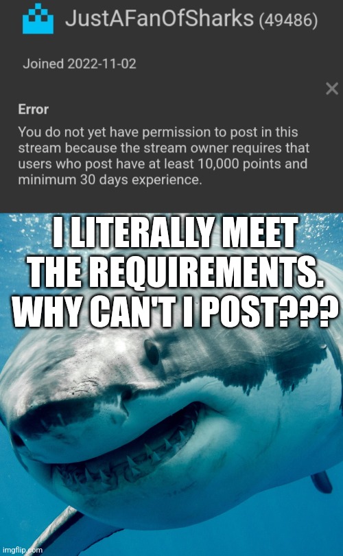 I LITERALLY MEET THE REQUIREMENTS. WHY CAN'T I POST??? | image tagged in goofy ahh shark | made w/ Imgflip meme maker