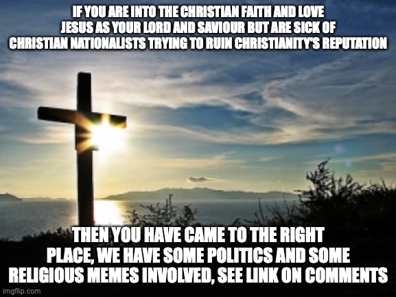 Welcomes anyone except Nazis and Fascists | IF YOU ARE INTO THE CHRISTIAN FAITH AND LOVE JESUS AS YOUR LORD AND SAVIOUR BUT ARE SICK OF CHRISTIAN NATIONALISTS TRYING TO RUIN CHRISTIANITY'S REPUTATION; THEN YOU HAVE CAME TO THE RIGHT PLACE, WE HAVE SOME POLITICS AND SOME RELIGIOUS MEMES INVOLVED, SEE LINK ON COMMENTS | image tagged in christian voter,christian,stream,save,the,religion | made w/ Imgflip meme maker