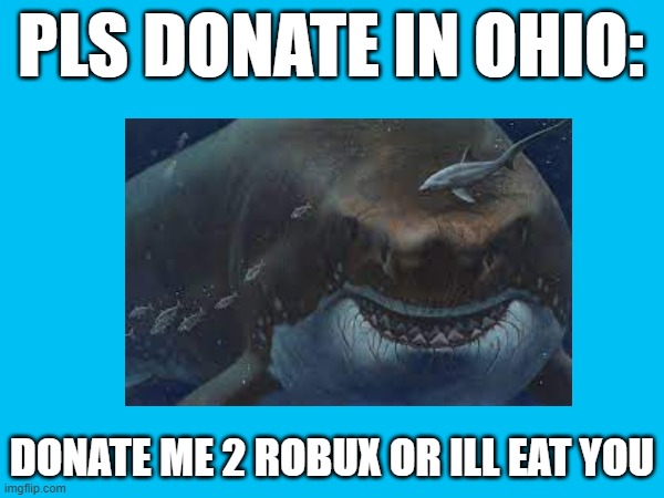 Most normal begger in ohio | PLS DONATE IN OHIO:; DONATE ME 2 ROBUX OR ILL EAT YOU | image tagged in ohio,roblox,roblox meme,meme | made w/ Imgflip meme maker