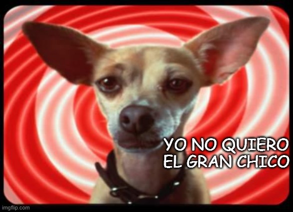 taco bell dog | YO NO QUIERO EL GRAN CHICO | image tagged in taco bell dog | made w/ Imgflip meme maker