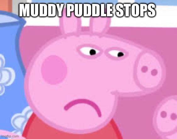 High Quality Muddy puddle stops Blank Meme Template