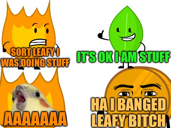 Blank White Template | IT'S OK I AM STUFF; SORT LEAFY I WAS DOING STUFF; HA I BANGED LEAFY BITCH; AAAAAAA | image tagged in firey,why are you reading this,coiny,umm,leafy,bfdi | made w/ Imgflip meme maker